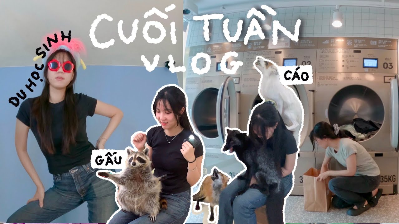 [ep.14] cách du học sinh Hàn tận hưởng cuối tuần