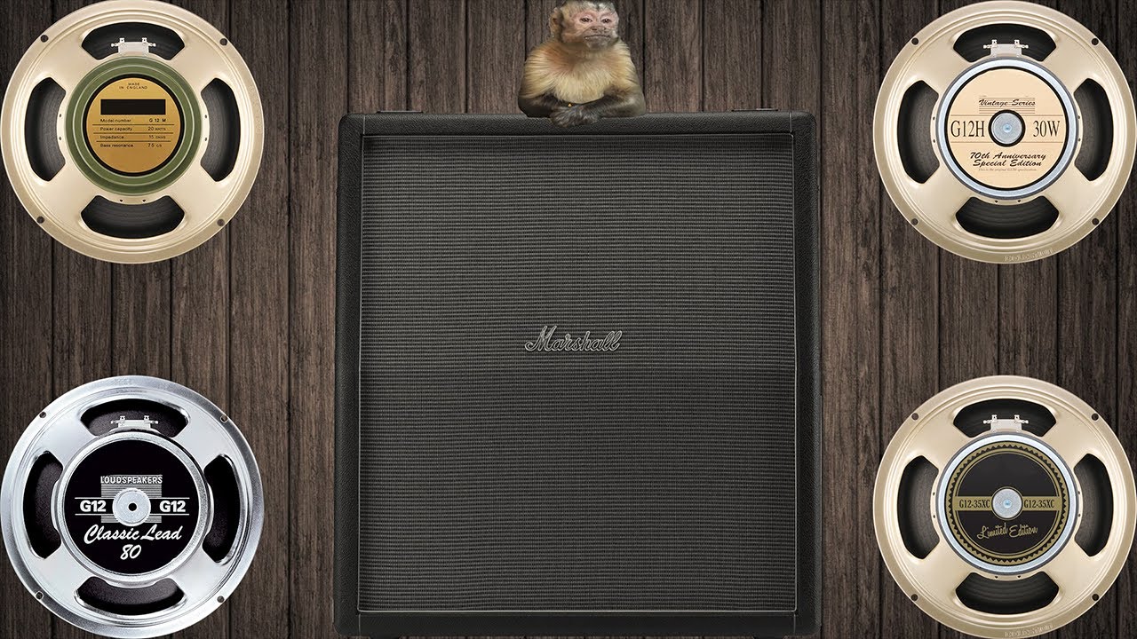 Marshall 1960TV Speaker Comparison - Metal