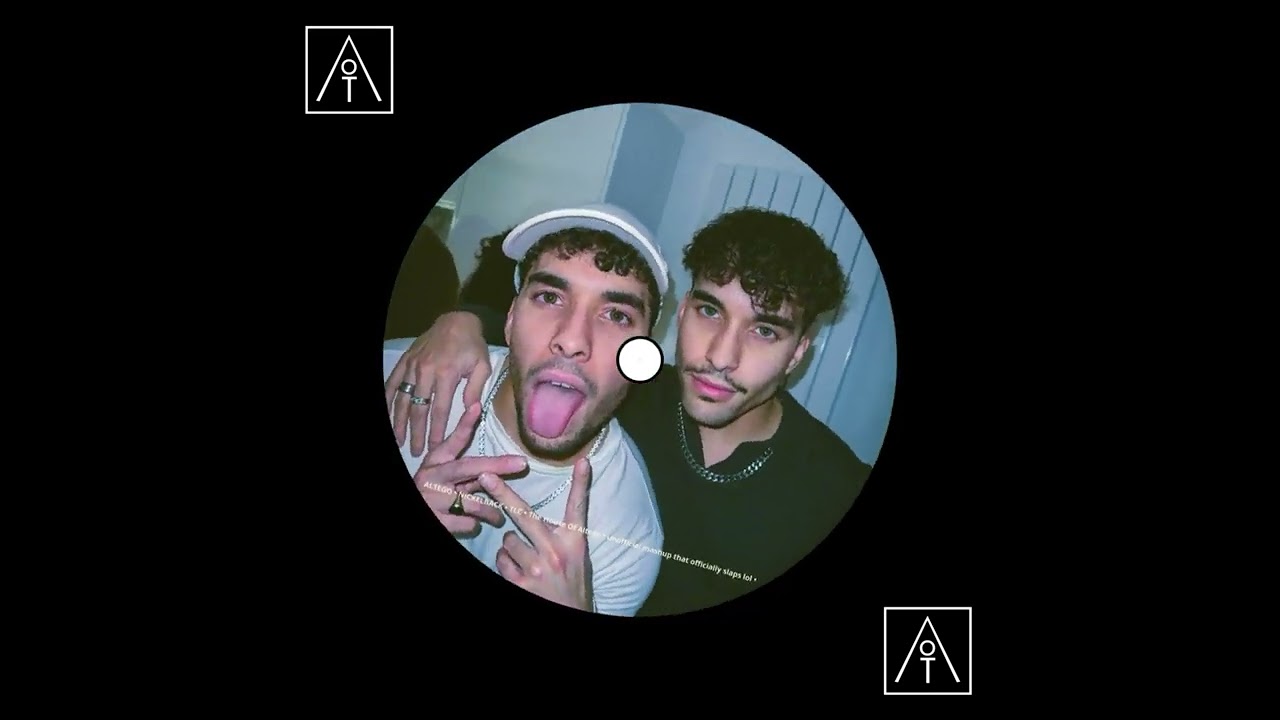 Alt&eacute;go x Nickelback x TLC - How You Remind Me That Im No Scrub (audio)