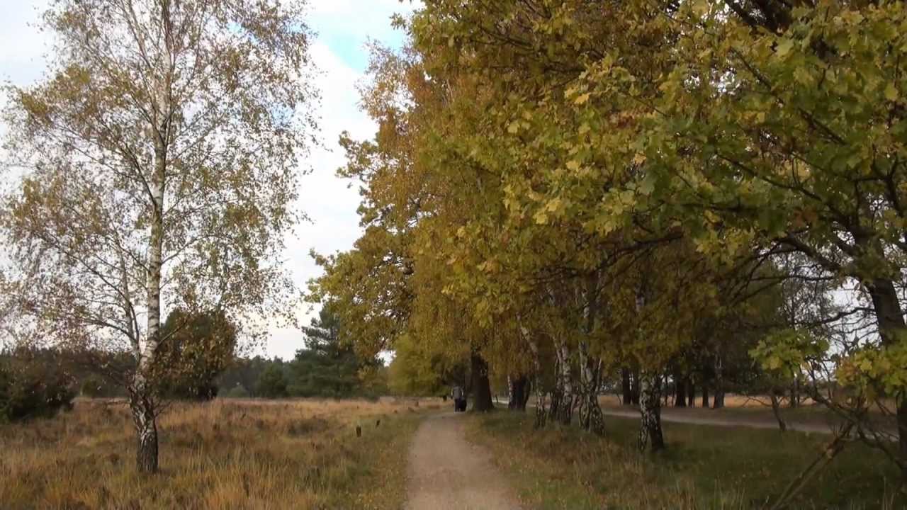 Von Undeloh nach Wilsede Herbstwanderung 2011