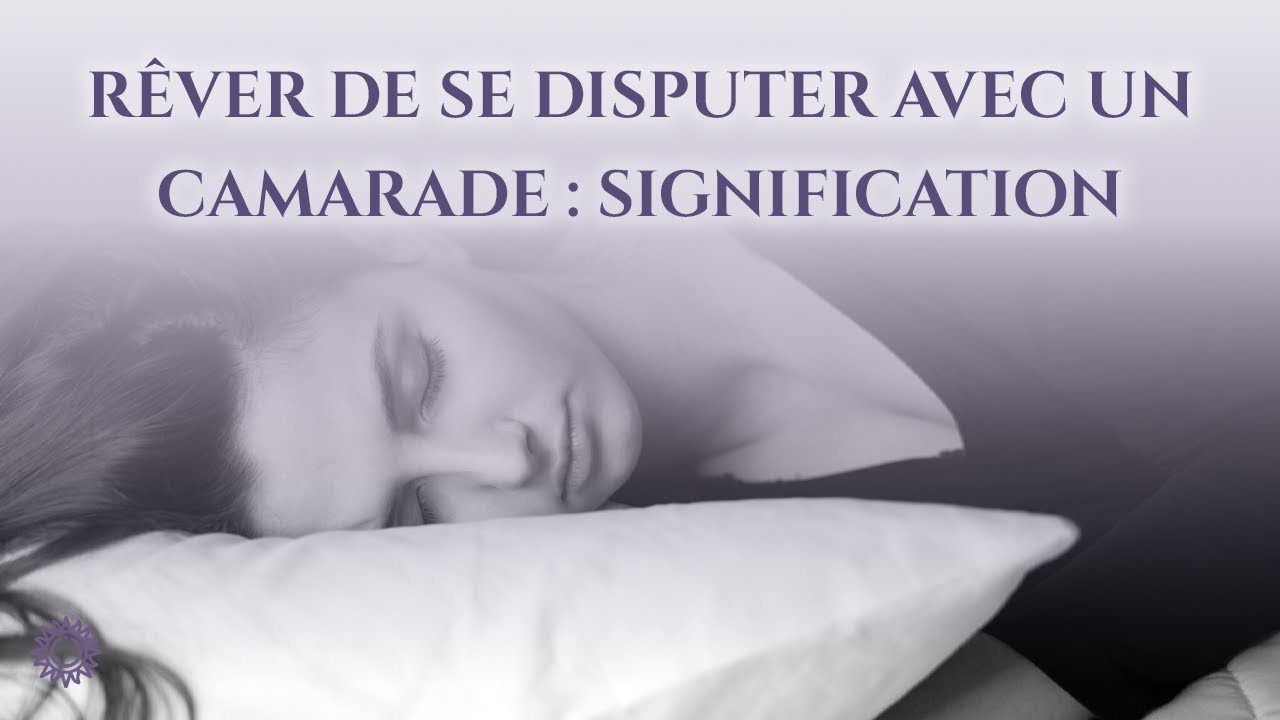☯ RÊVER DE SE DISPUTER AVEC UN CAMARADE : SIGNIFICATION
