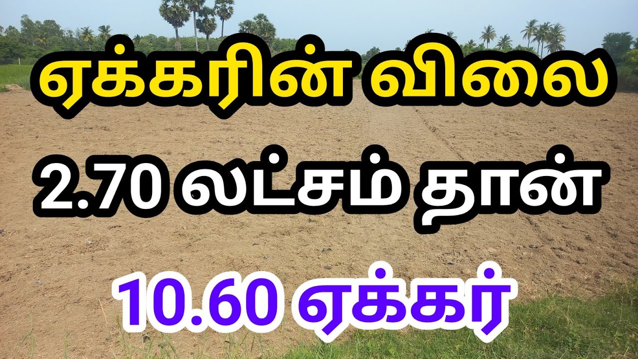 மிக மிக குறைந்த விலையில் விவசாய நிலம் விற்பனைக்கு🚜🪴#agriculture #lowbudget #trending #farming#actors