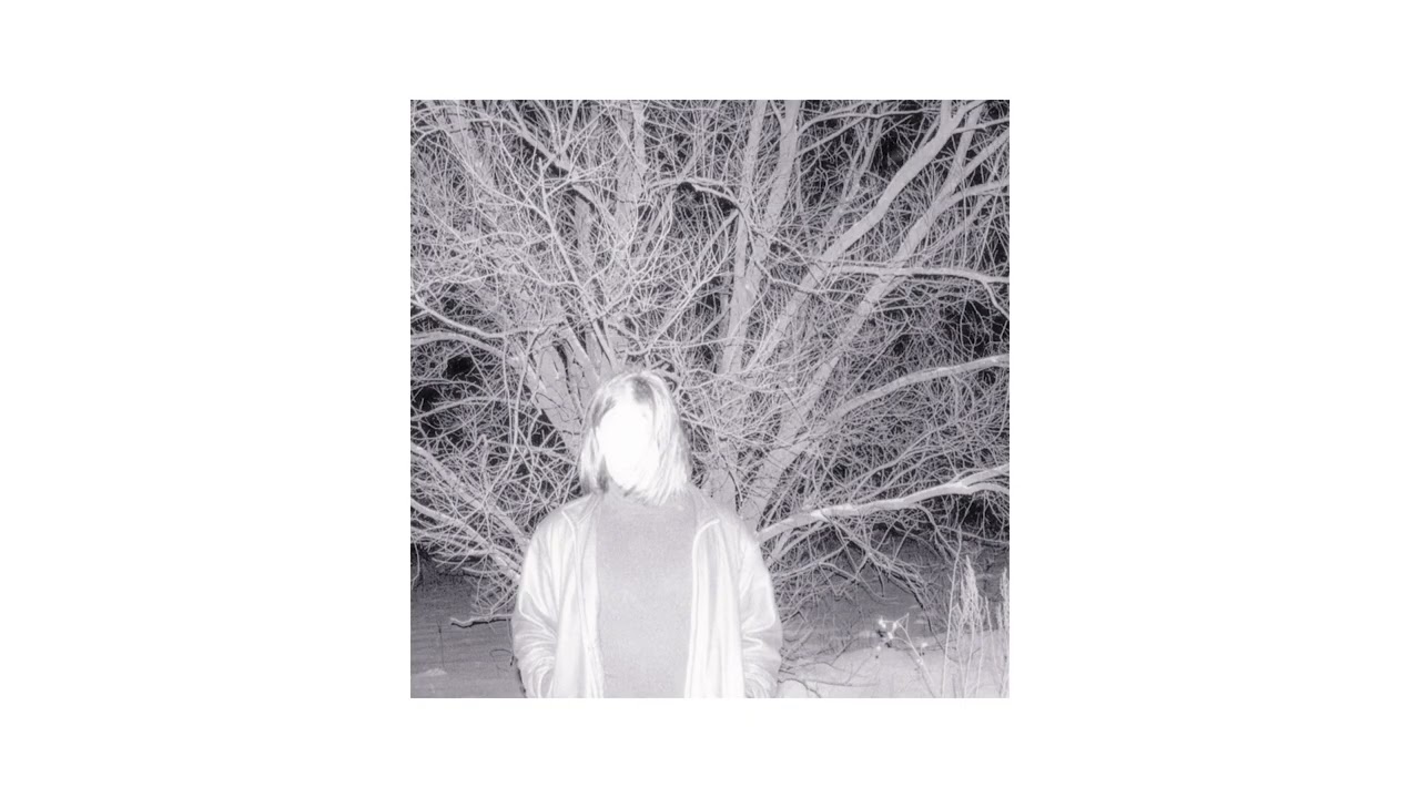 SNOWBLEEF - Rabbit
