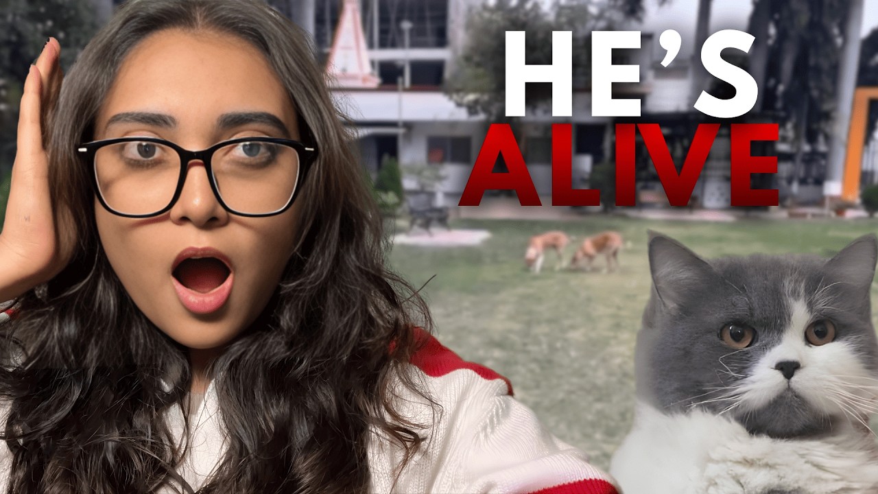 HE GOT ATTACKED😱