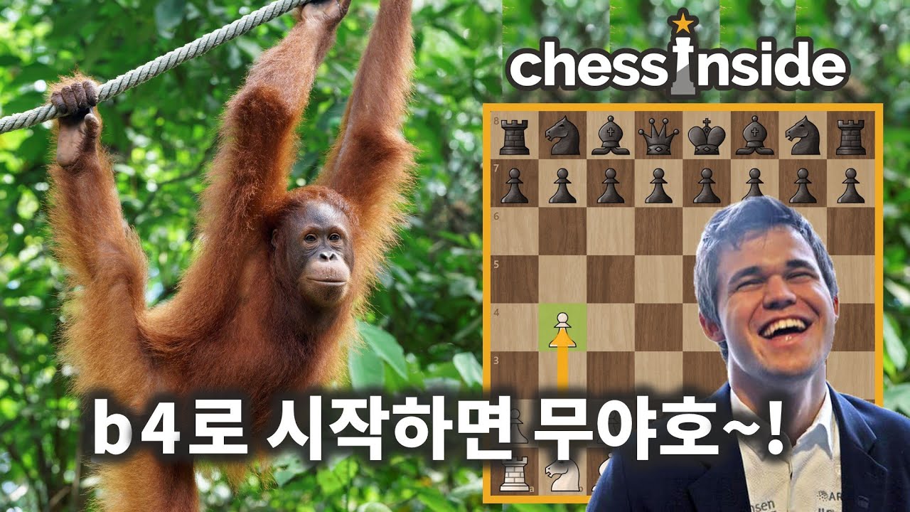 뭐? 체스 보드에 오랑우탄이 산다고? - 체스 명경기244