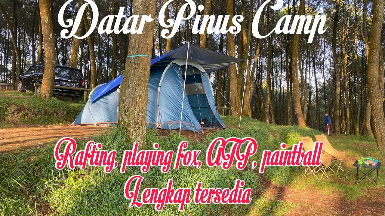 Datar Pinus Camp, tempat camping dengan fasilitas terlengkap