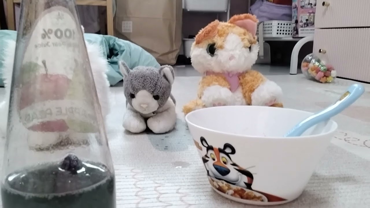 냥냥이 친구들,냥냥이랑 같이 고급 레스토랑에 갔어요!
