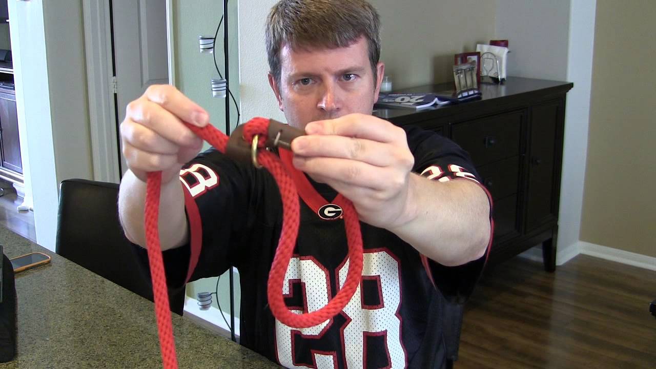 Best Slip Dog Lead Leash Collar by Mendota - Review and Demo