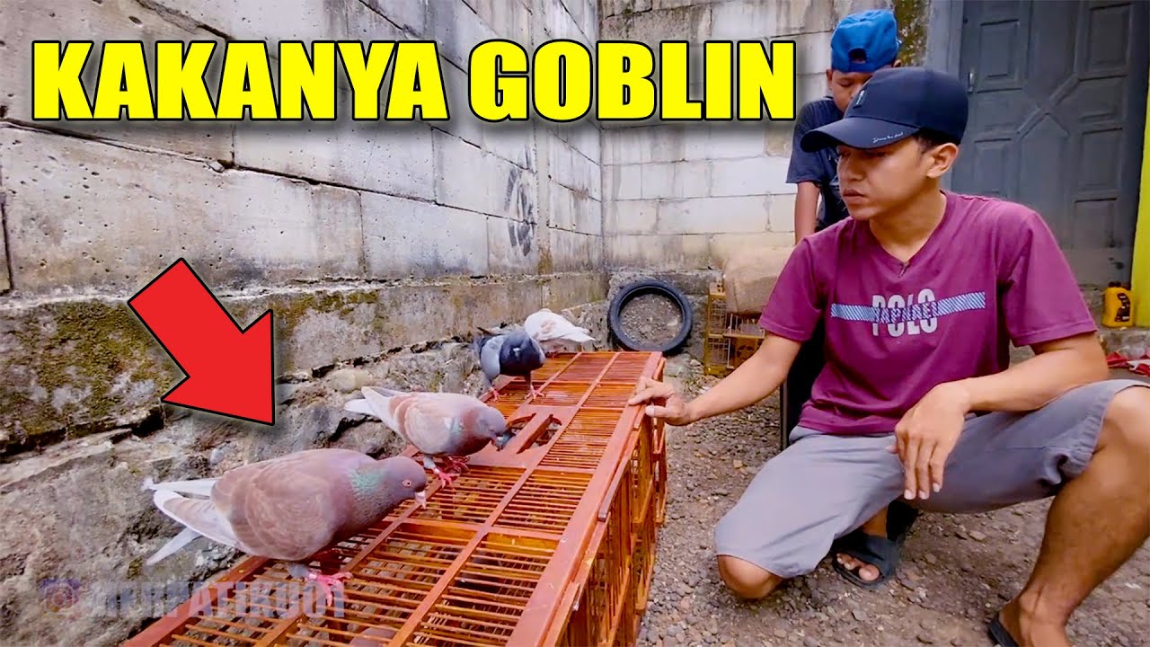 GOBLIN & BULBASUR GIRING KEKET LANSUNG TEST