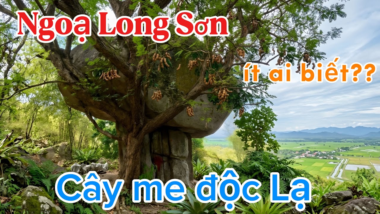 Núi Dài An Giang 👉Tảng Đá độc lạ của Tạo Hóa - khám phá những điểm đến linh thiêng ít người biết??