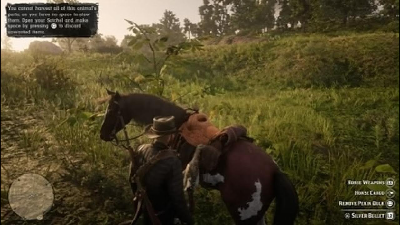 Red Dead Redemption 2 Hunting to feed the gang