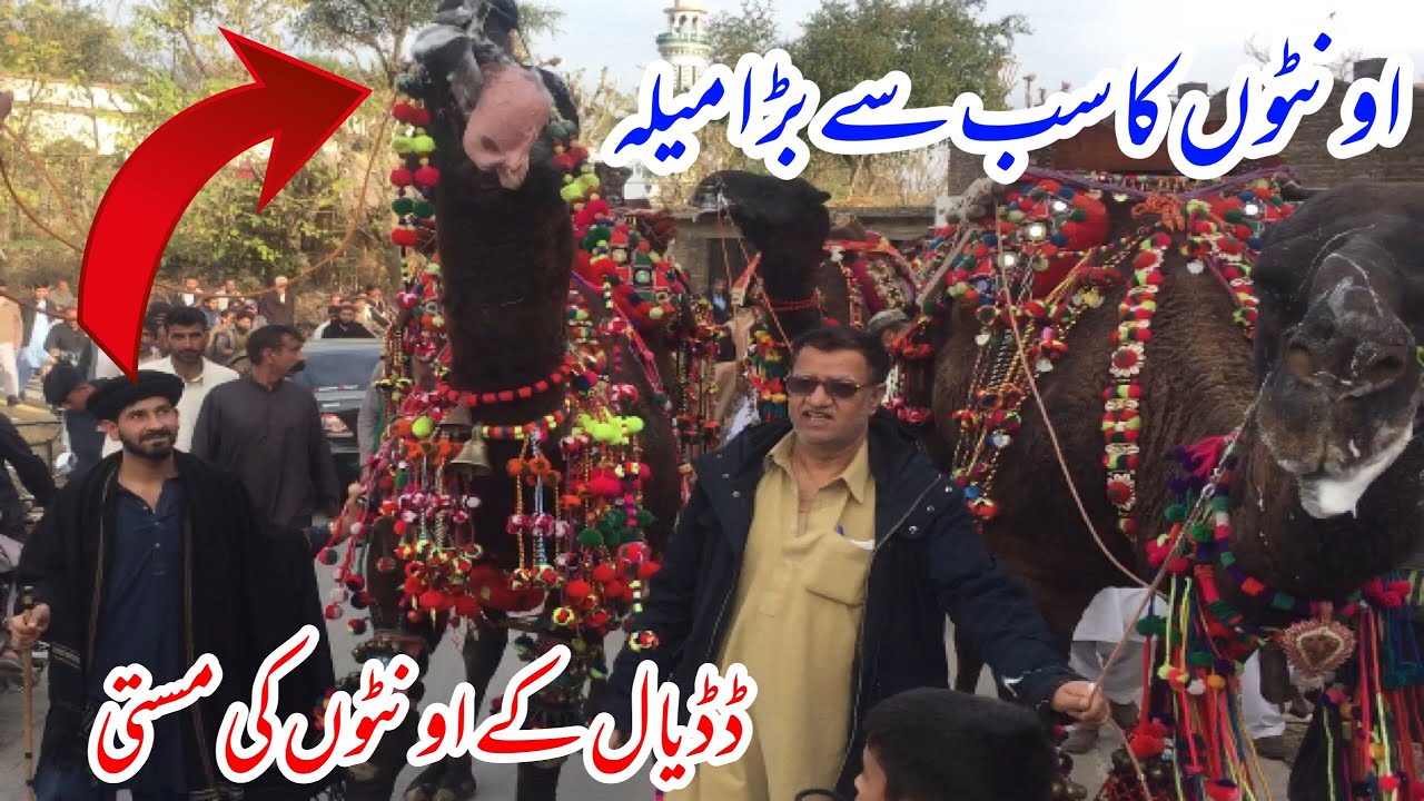 Pakistan’s Largest Festive || Baba Fazal Shah Kalyami || Ontha Na Mela 2025