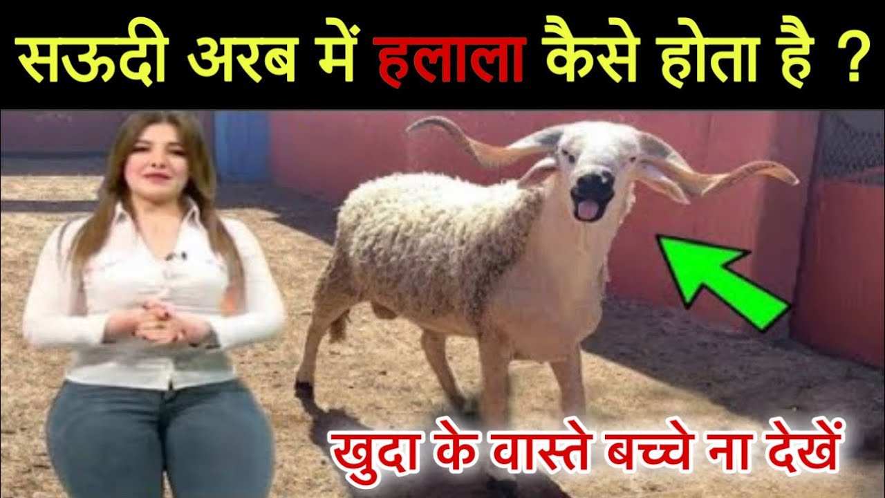 Saudia Arab Main Halala Kis Tarah Kiya Jata Hain ? हलाला कैसे होता है