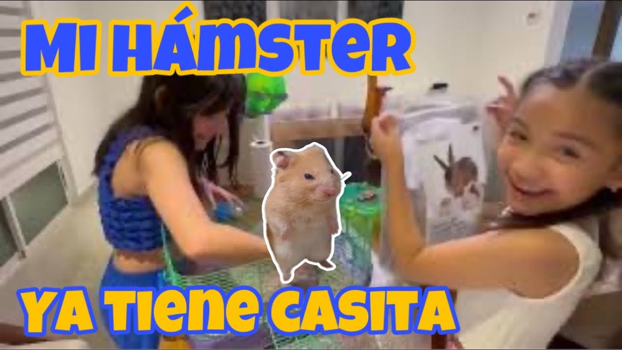 ASÍ CUIDA FERNANDA A SU HAMSTER | LE COMPRA CASITA 🏠 NUEVA