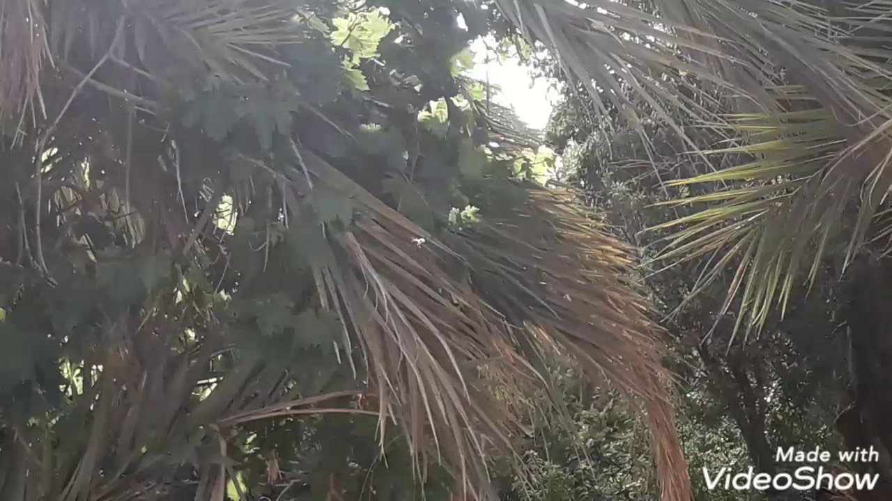 اليغ في صورة قبل الفطور (رمضان 2019)