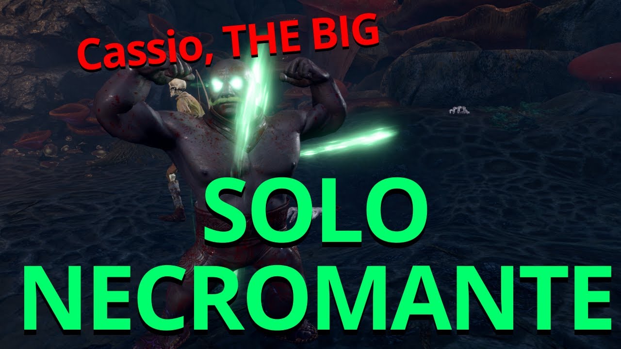 Baldur gate 3 so que SOLO NECROMANTE (Mod dread overlord)