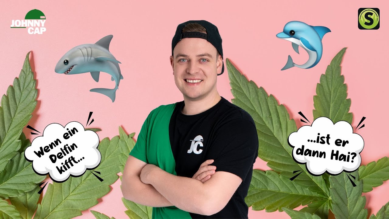 Johnny Cap - Wenn ein Delfin kifft (Official Lyricvideo)