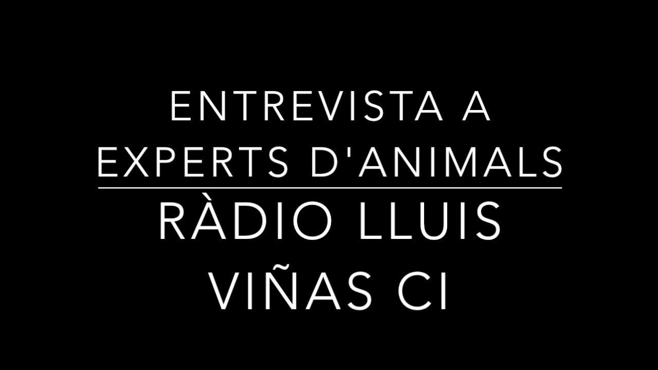 RADIO TALLER FEM-LA PETAR ANIMALS