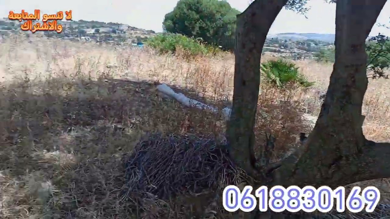 #700_متر_نواحي_طنجة_ملوسة_حومة_تافوغالت_الثمن_300_درهم