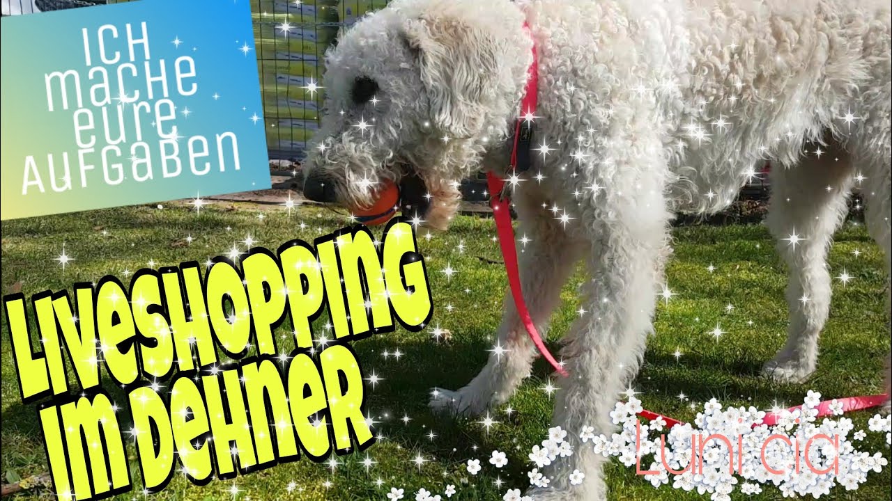 Liveshopping 🛍ich mache eure Aufgaben♥ im Dehner
