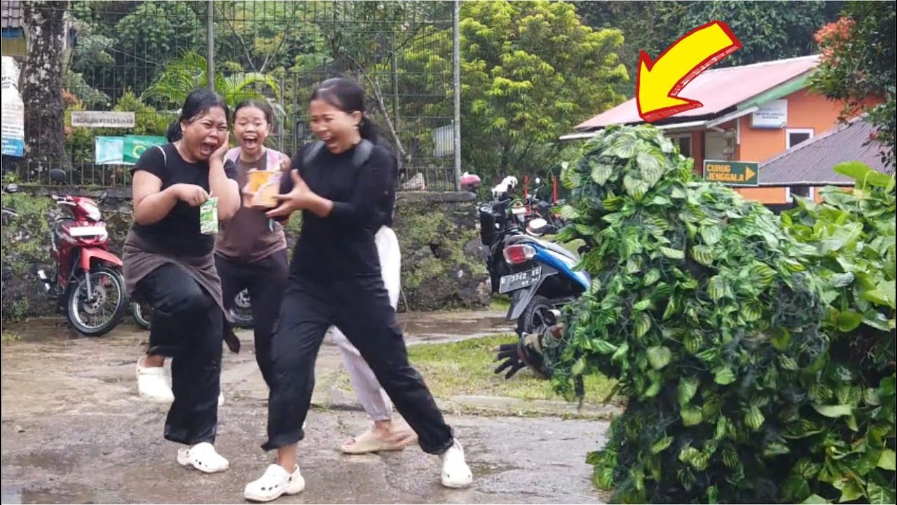 BUSHMAN PRANK LOL MAKE YOU HAPPY..!! #funny #happy #entertainment