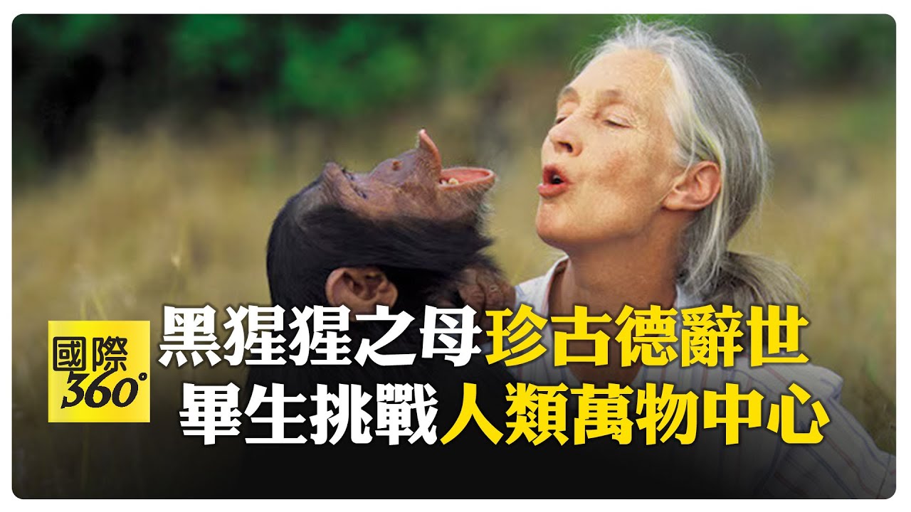 永別保育巨擘！ 珍古德辭世享耆壽91歲 命名黑猩猩震驚學界 【國際360】20251002 @全球大視野Global_Vision