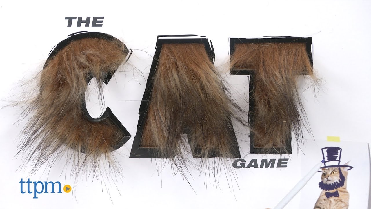 The Cat Game from Spin Master