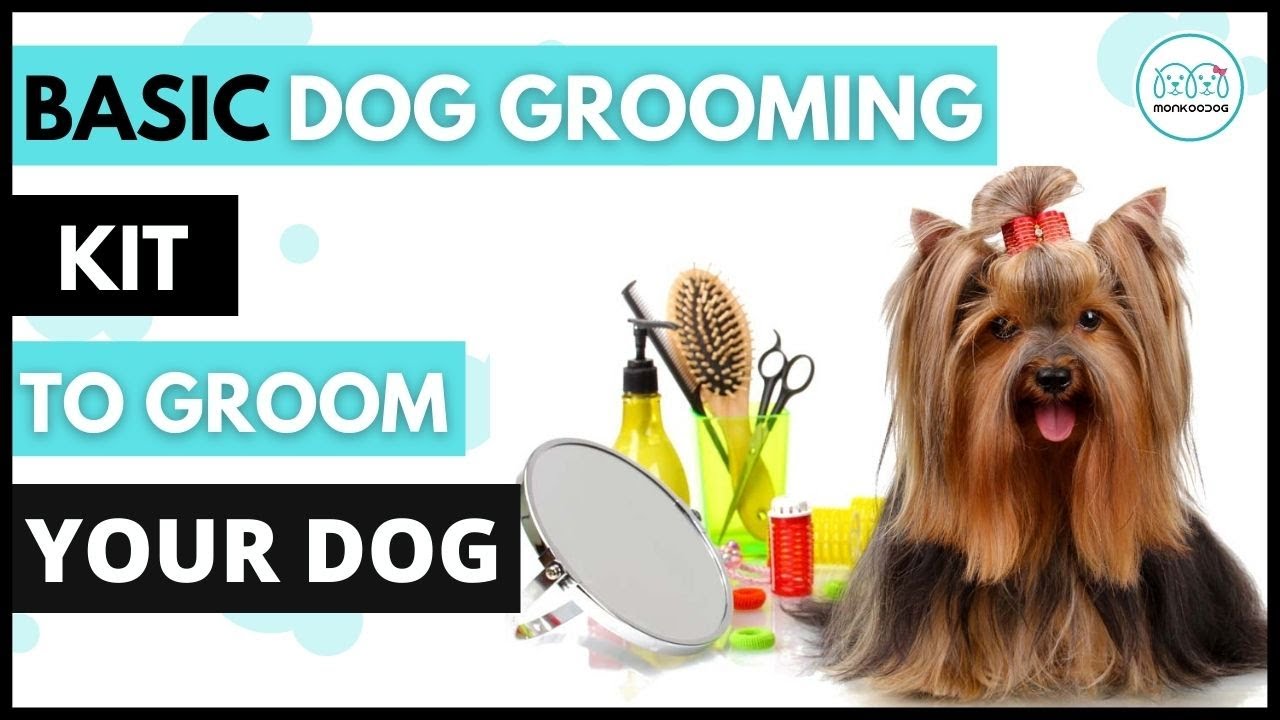 Groom💅 your dog or puppy at home with this basic grooming Kit. II DIY dog grooming II