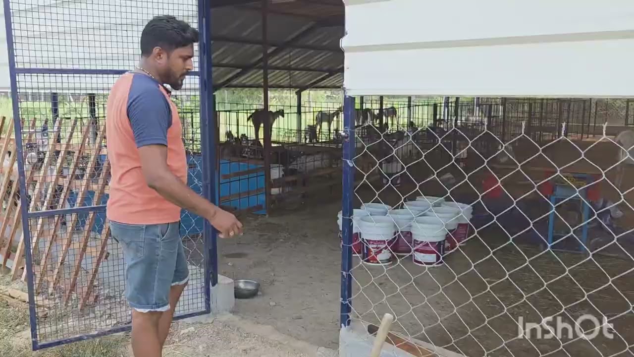 Goat farm fencing tips🐐🐐|ஆடு பண்ணை வேலி குறிப்புகள்🐐🐐