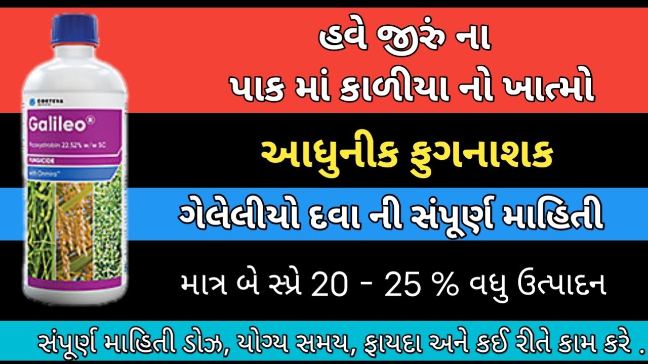 જીરું માં ફુગ નો ખાત્મો ગેલેલીયો દવા બેસ્ટ ફૂગનાશક | Galileo fungicide | Ravi Kotadiya