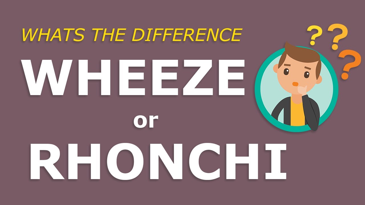 Wheeze or Rhonchi: What is the difference (Super simple explanation!)