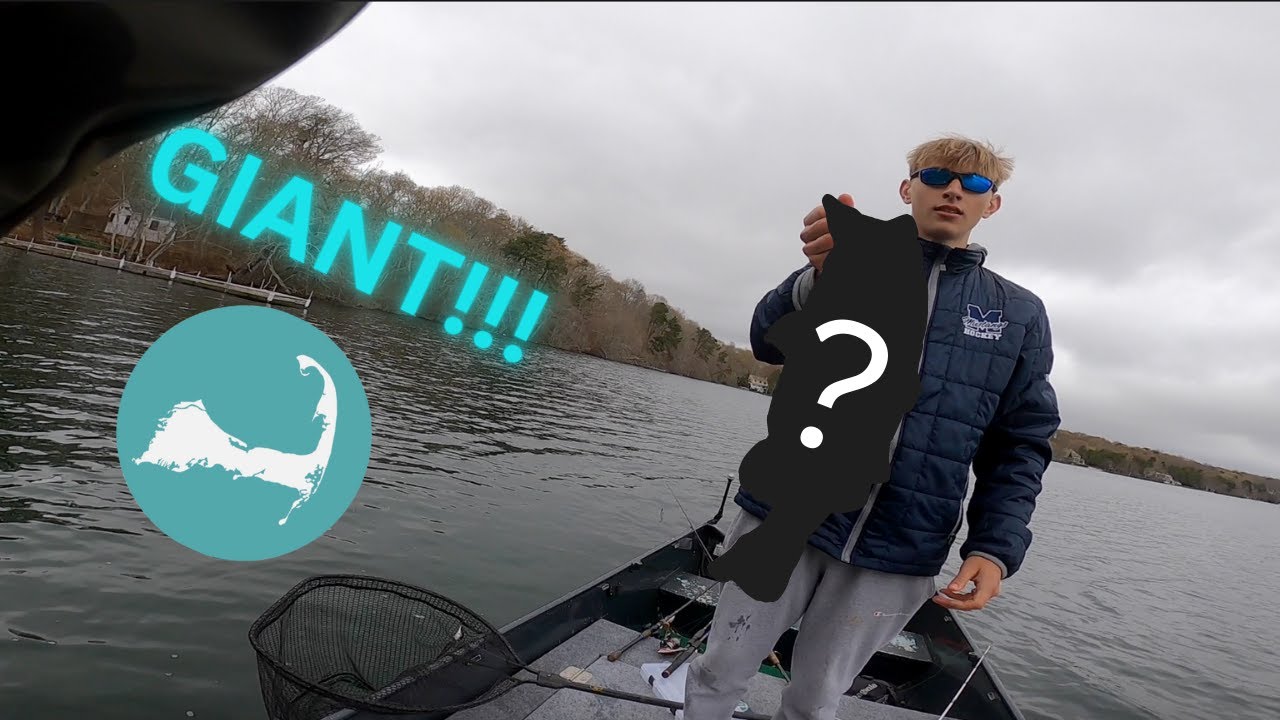Catching BASS in CAPE COD in CLEAR WATER!