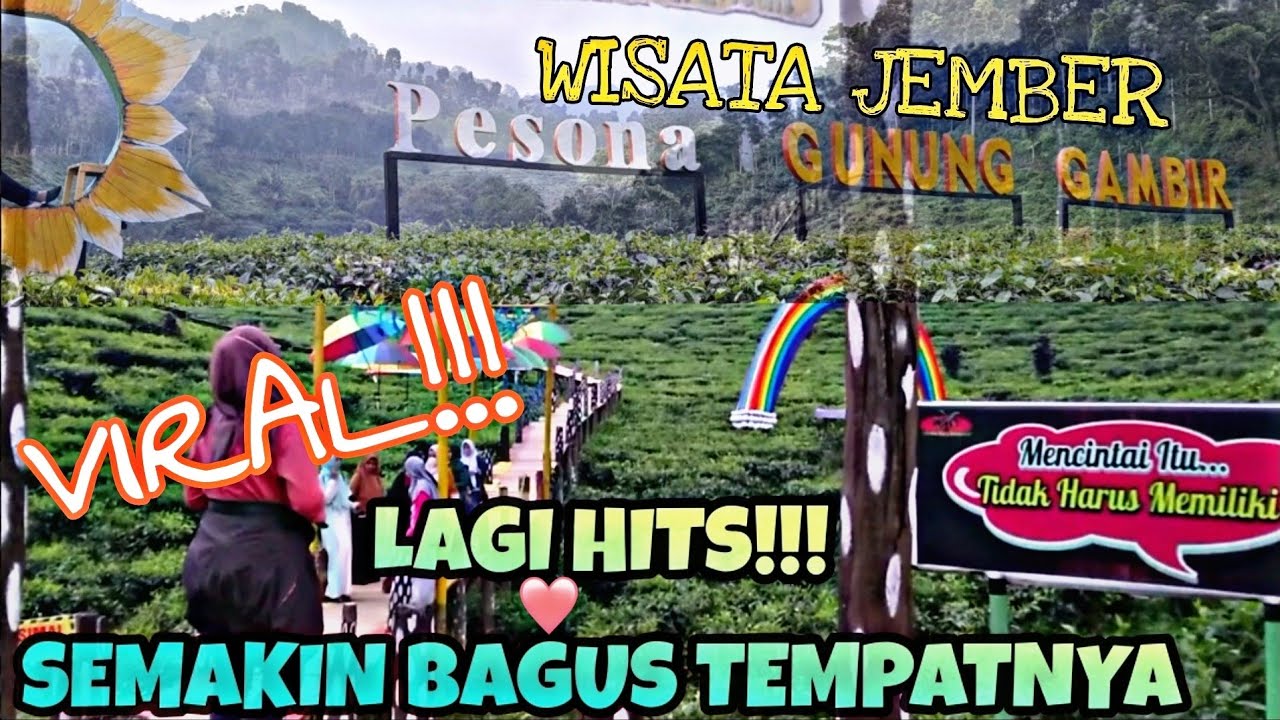WISATA PUNCAK KEBUN TEH GUNUNG GAMBIR JEMBER | HITS VIRAL TERBARU 2022