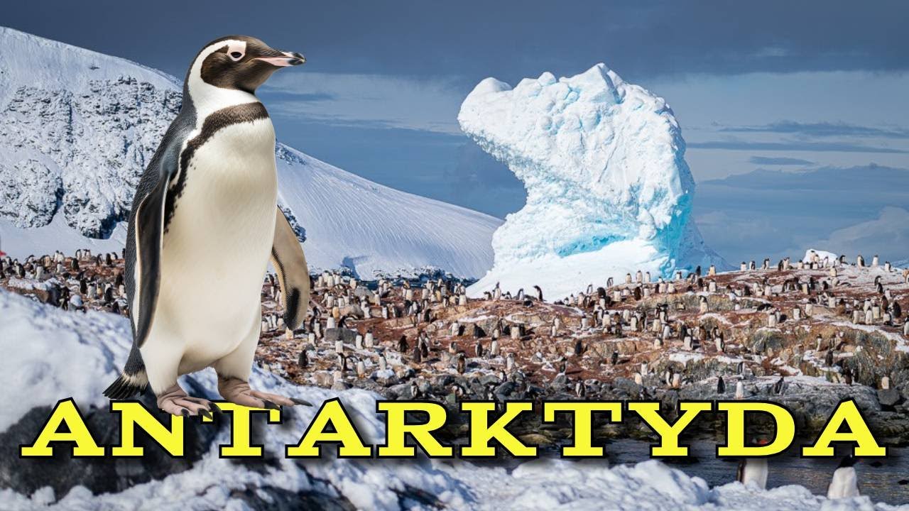Antarktyda