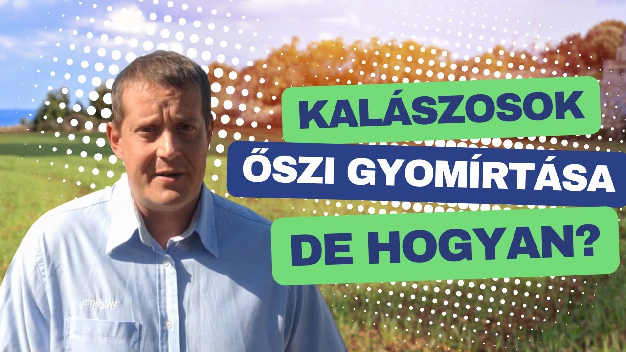 🌾 Mire kell figyelni a kalászosok őszi gyomirtásánál?