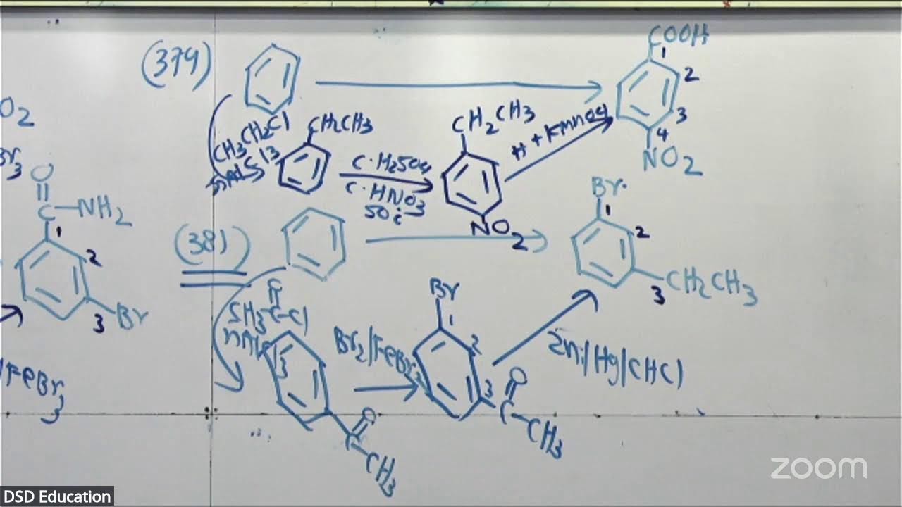 2026 THEORY [ORGANIC DAY 11]