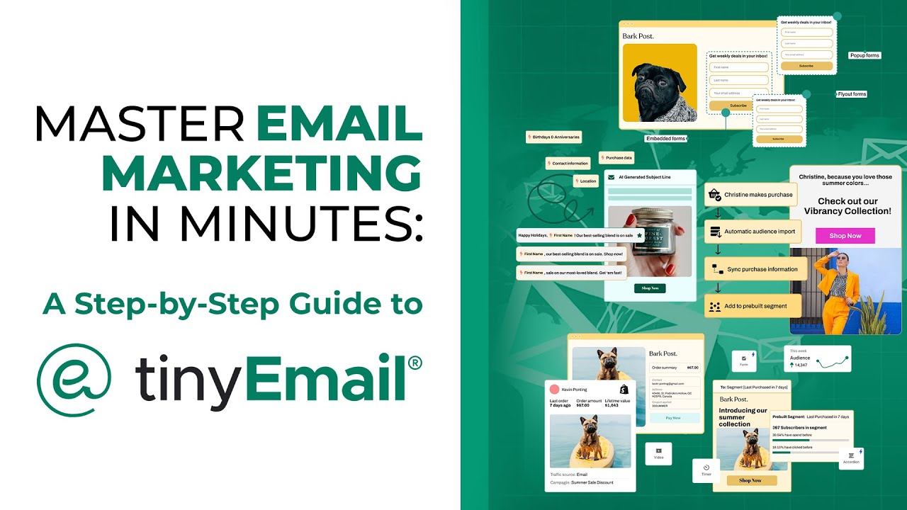 Master Email Marketing in Minutes: A Step-by-Step Guide to tinyEmail