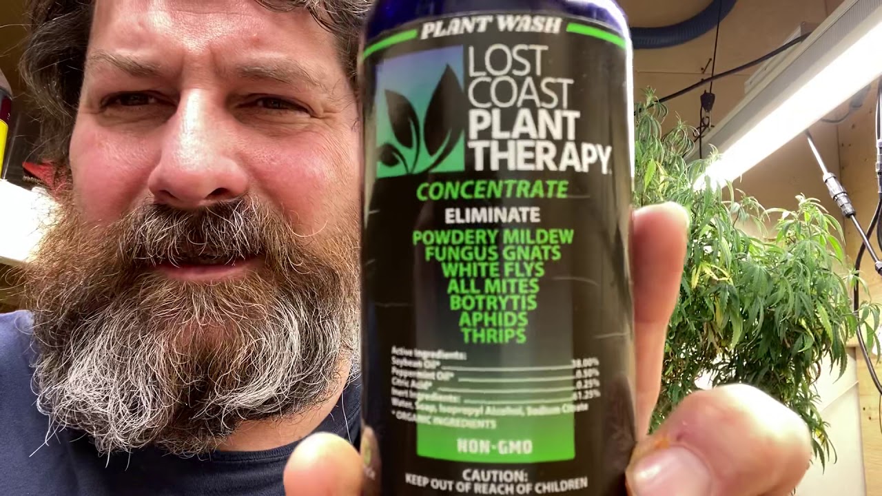 Plant therapy testing