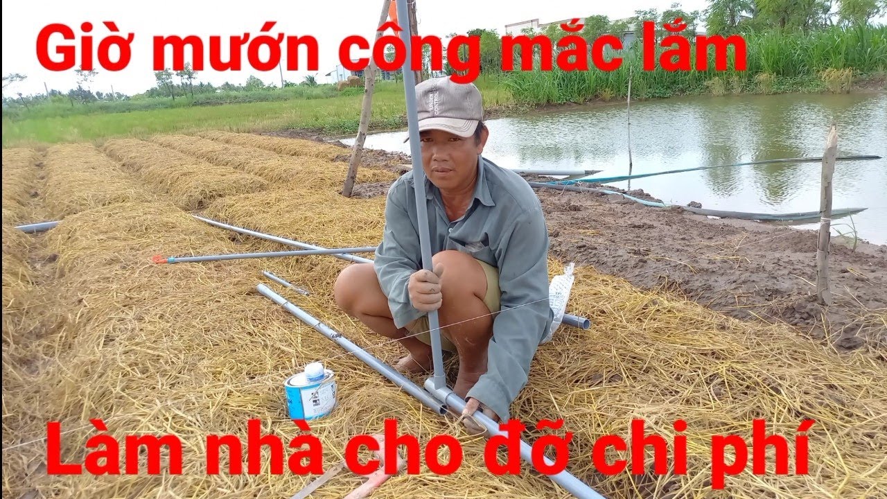 Lắp Đặc Hệ Thống Tưới Nước Tự Động 1000m2 Bao Nhiêu Tiền