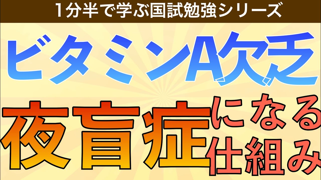 1分半で学ぶ国試勉強「ビタミンA欠乏症で夜盲症になる機序」