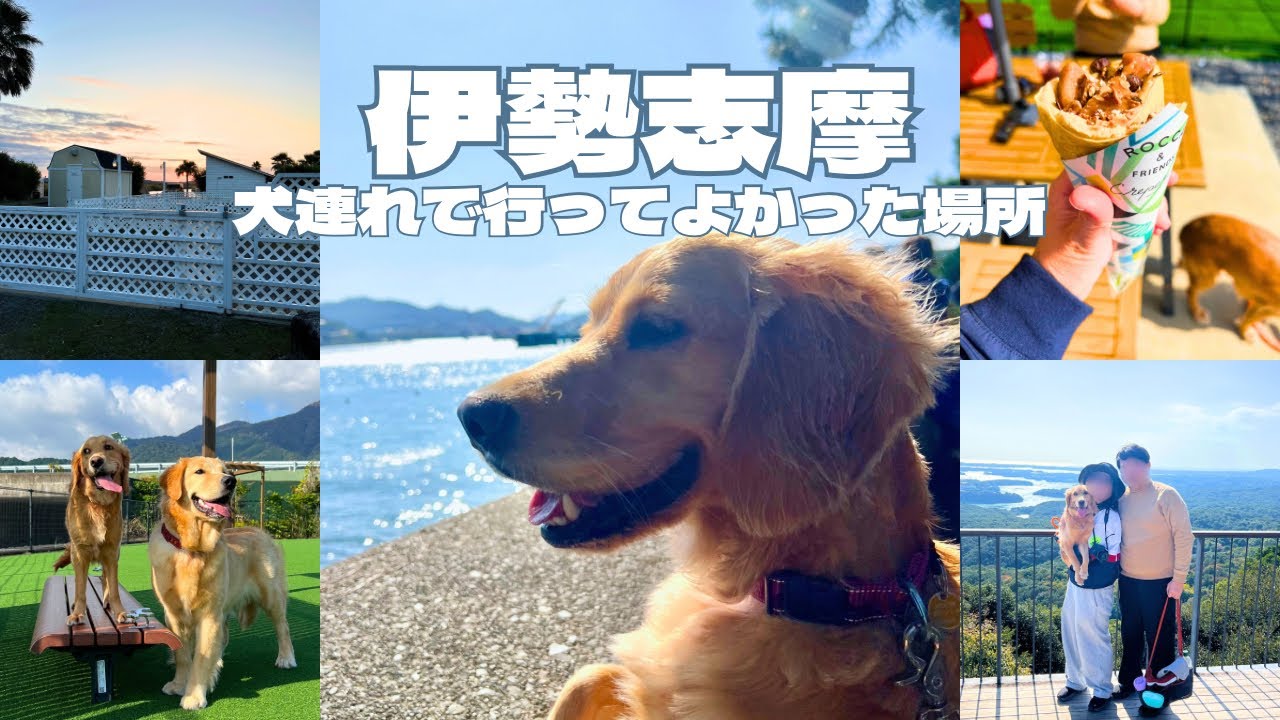 犬連れで伊勢志摩旅行！本当に行ってよかったおすすめスポット【愛犬との旅行Vlog】