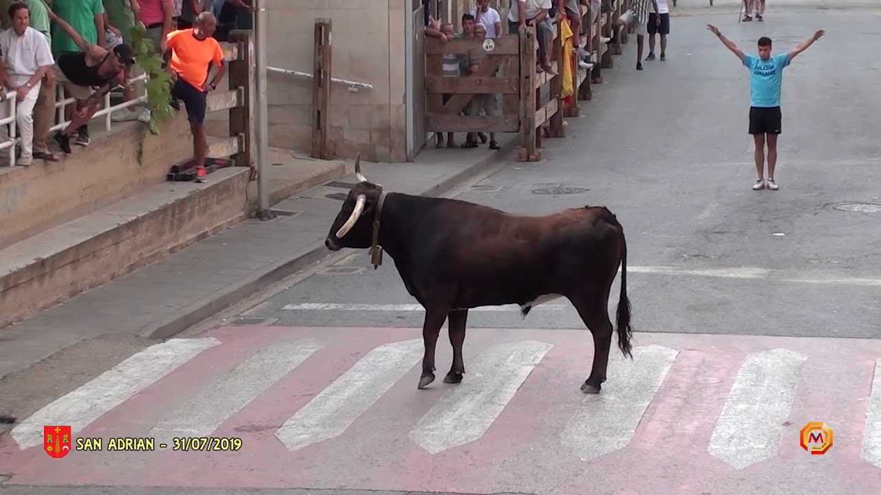 Tv San Adrian - 31/07/2019 - Fiestas - Encierro