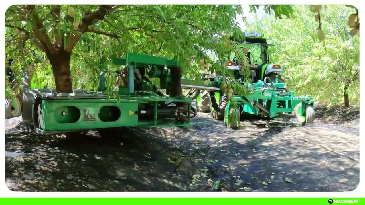 Conheça as máquinas MACHRENT para a colheita do Amendoal e Olival