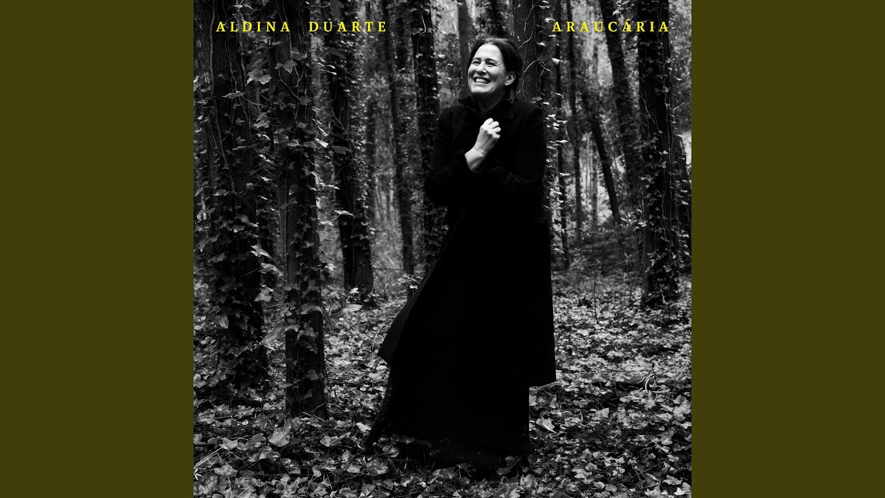 Araucária
