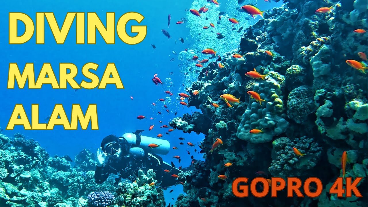 Diving in Paradise: Exploring the Reefs of Marsa Alam