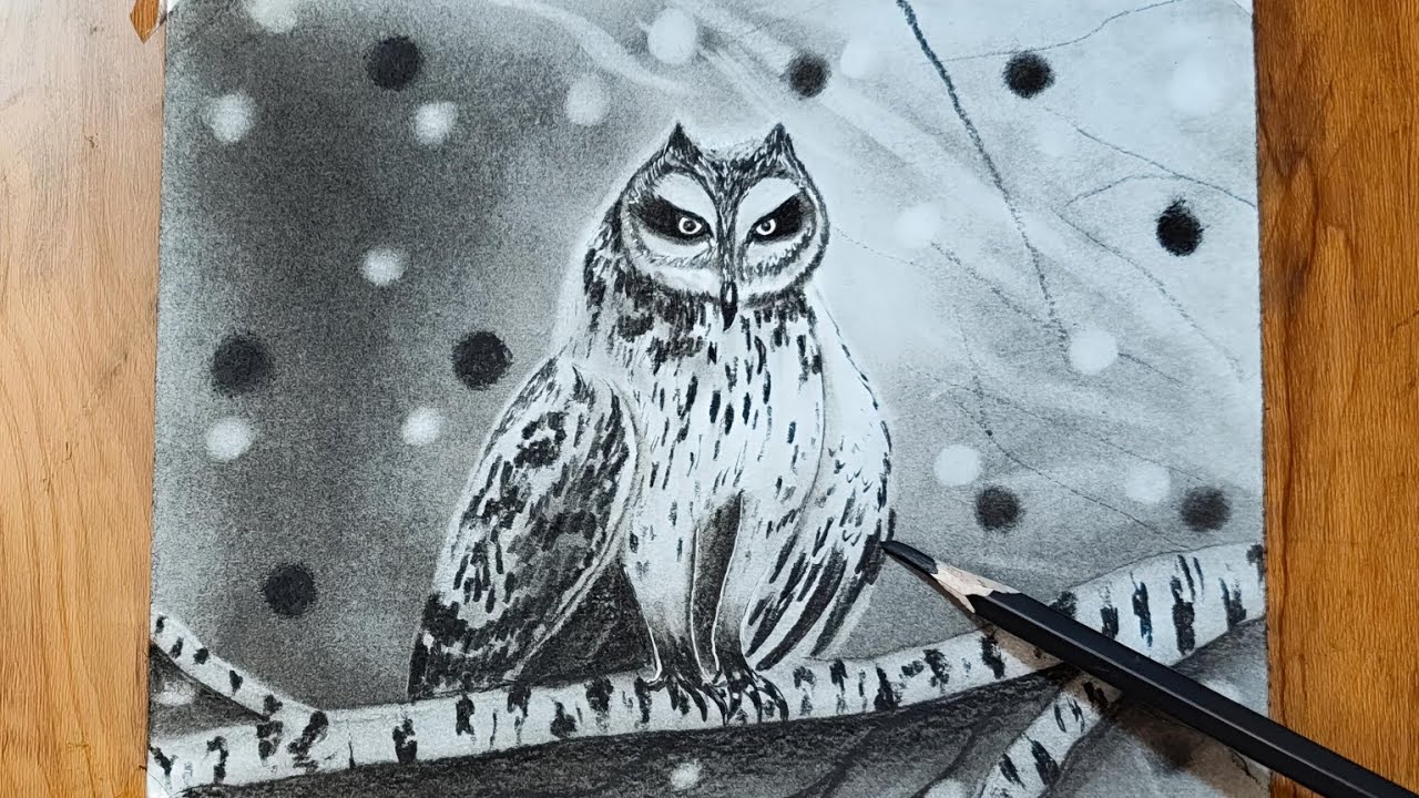 How to draw owl with pencil/ owl pencil drawing 