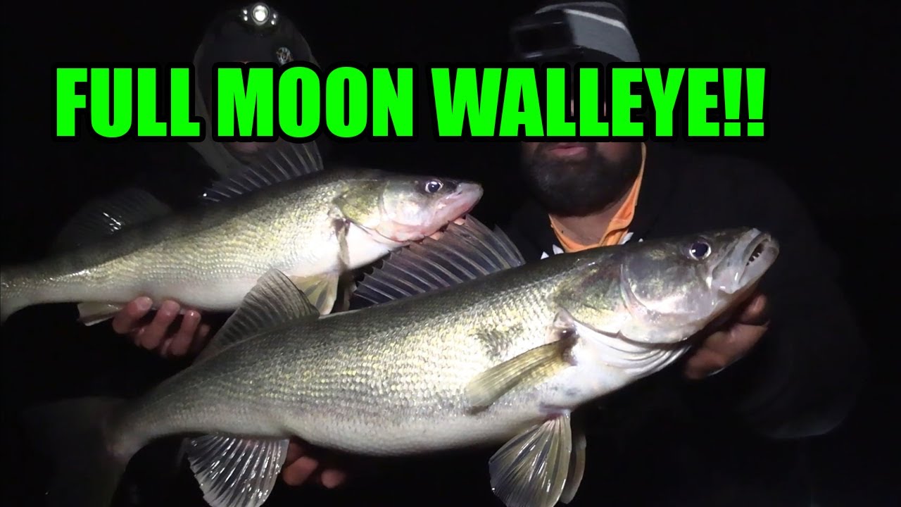 Full Moon Walleye Cranking! | Bandit Lure GIVEAWAY!