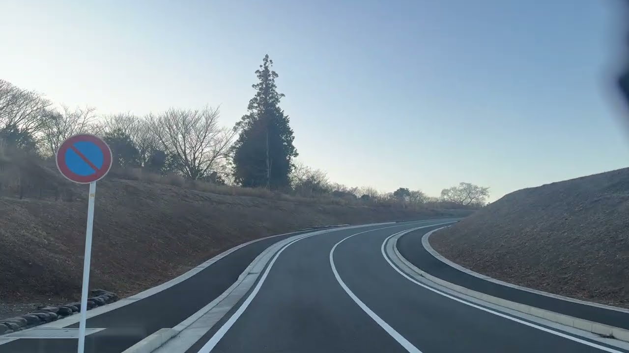 早朝、日本平を走りました。桜と富士山 2026.2.16