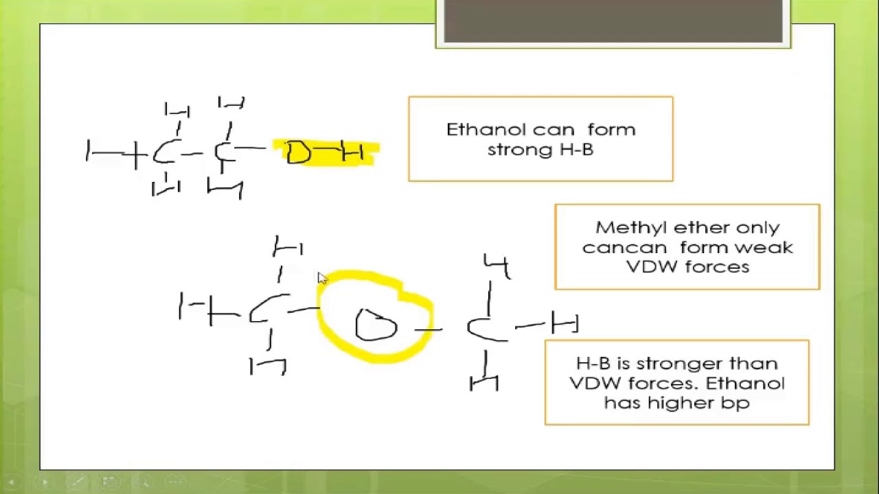Hydrogen Bond (GM~B2T8)