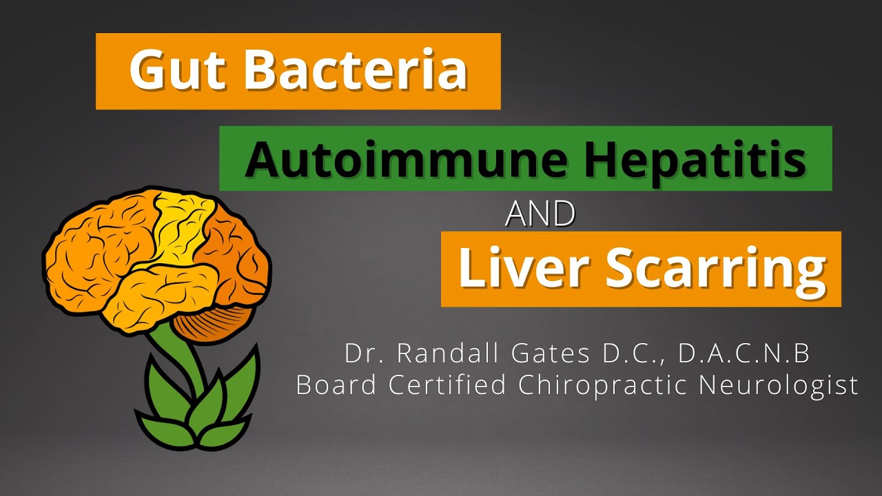 Gut Bacteria, Autoimmune Hepatitis, and Liver Scarring